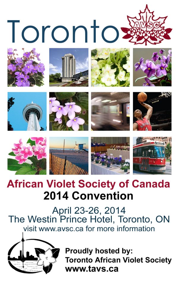 Convention 2014 Poster